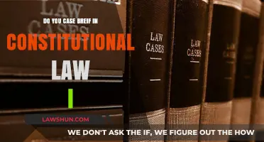 Case Briefing: A Constitutional Law Essential