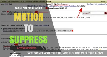 Citing Case Law: Motion to Suppress Essentials
