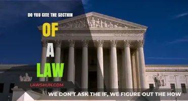 Citing Legal Sections: Best Practices for Accurate Law References