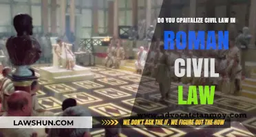 Capitalizing Civil Law in Roman Civil Law: Rules and Practices