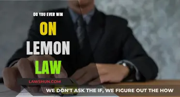 Winning with Lemon Law: Your Rights and Realistic Outcomes Explained