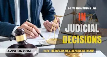 How Common Law Impacts Judicial Decisions