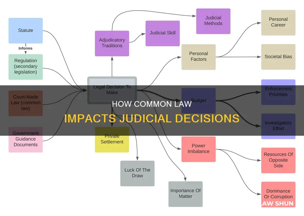 do you find common law in judicial decisions