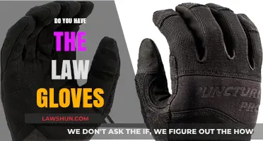 Do You Have the Law Gloves: Unveiling Legal Protection in Everyday Life