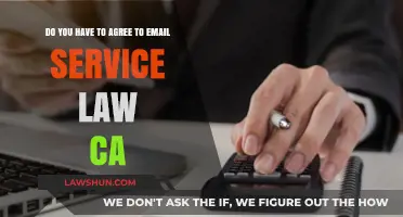 Understanding California's Email Service Law: Do You Need to Agree?