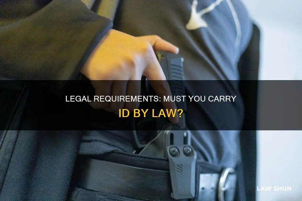 do you have to carry id by law