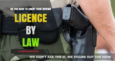 Driving Licence Laws: Must You Carry It by Law?
