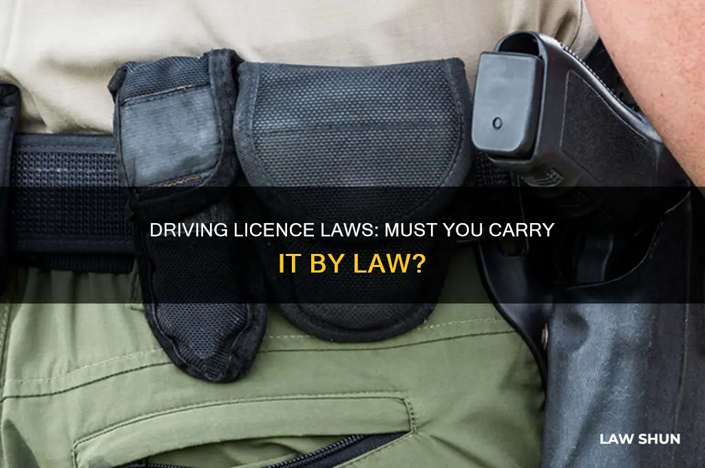 do you have to carry your driving licence by law