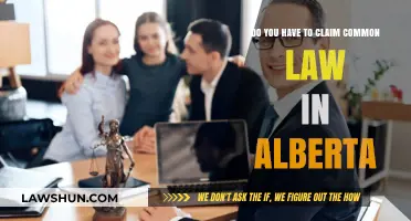 Understanding Common-Law Claims in Alberta