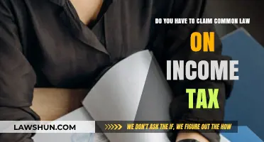 Understanding Common Law and Income Tax Claims
