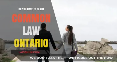 Understanding Common-Law Claims in Ontario: What You Need to Know