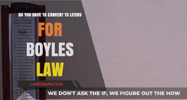 Boyle's Law Simplified: Convert to Liters or Not?