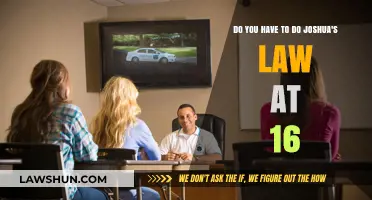 Understanding Joshua's Law: Requirements for 16-Year-Old Drivers in Georgia
