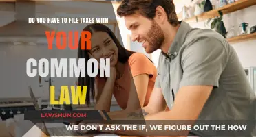 Common-Law Couples: Filing Taxes Together