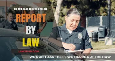 Are You Legally Required to File a Police Report?