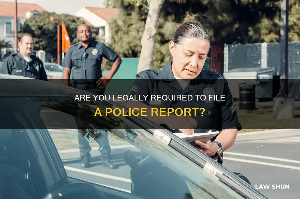 do you have to give a police report by law