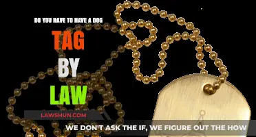 Are Dog Tags Legally Required? Understanding Pet Identification Laws