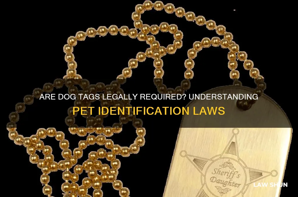 do you have to have a dog tag by law