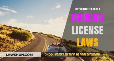 Driving License Laws: What You Need to Know
