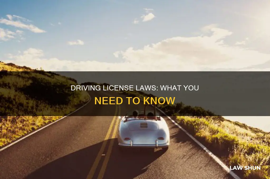 do you have to have a driving license laws