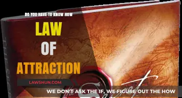 Understanding the Law of Attraction: Essential or Optional for Success?