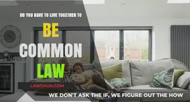 Cohabitation and Common Law: What's the Legal Link?