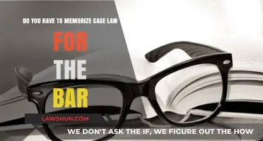 Memorizing Case Law: A Bar Exam Essential?