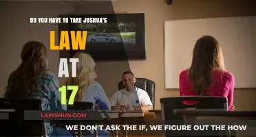 Understanding Joshua's Law: Requirements for 17-Year-Old Georgia Drivers