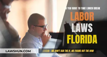 Lunch Breaks: Florida Labor Laws and Your Rights