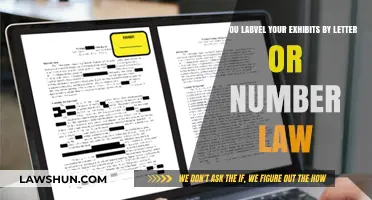 Labeling Exhibits: Letters vs. Numbers in Legal Practice Explained
