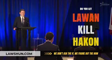 Debate: Should Lawan's Actions Against Hakon Be Justified?