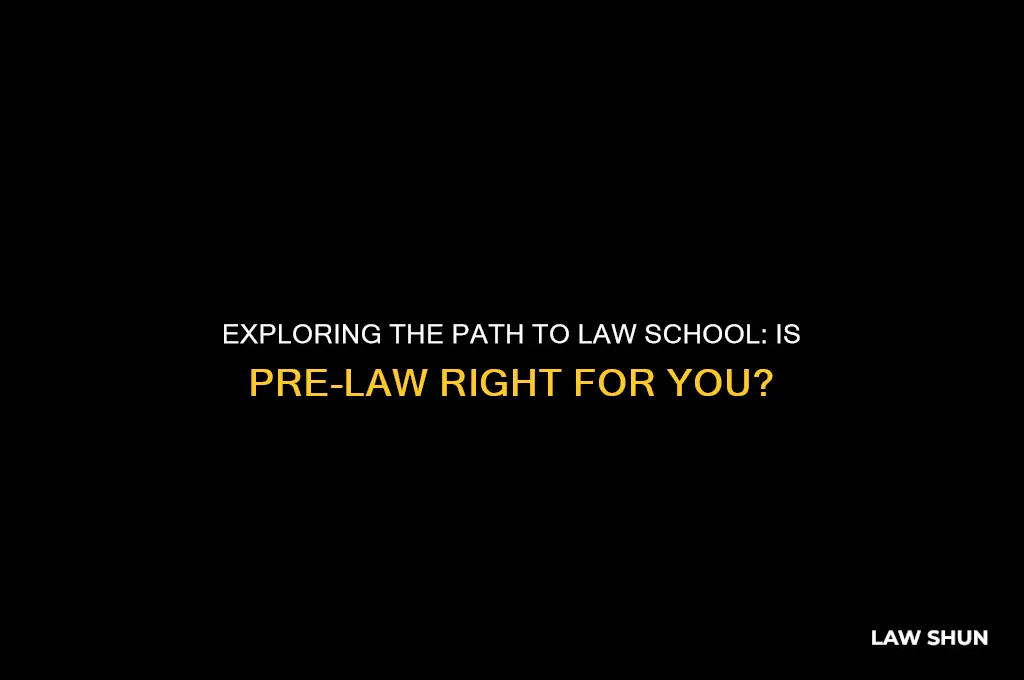 do you major in pre law