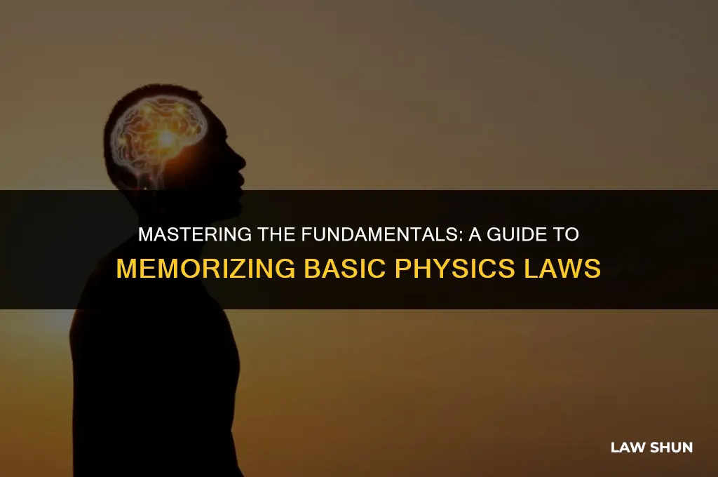 do you memorize basic physics laws