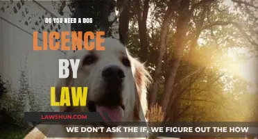 Do You Need a Dog License by Law? Legal Requirements Explained