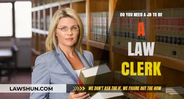 Law Clerk Career Path: Is a JD Degree Mandatory?