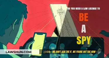 Spying Without a Law License: Legal Boundaries for Intelligence Operatives