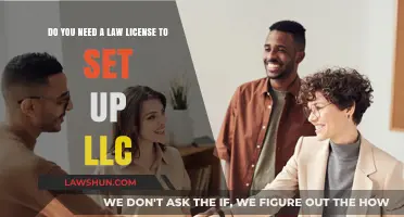 Setting Up an LLC: Do You Need a Law License?