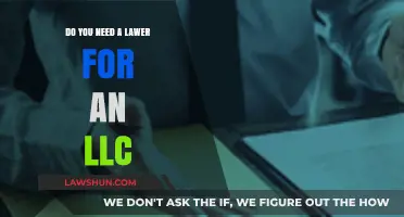 Do You Need a Lawyer to Form an LLC? Key Insights