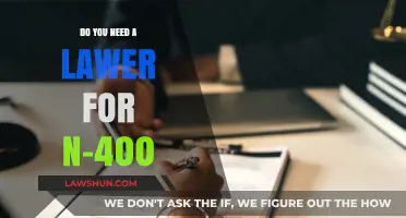 Navigating N-400: When Should You Hire an Immigration Lawyer?