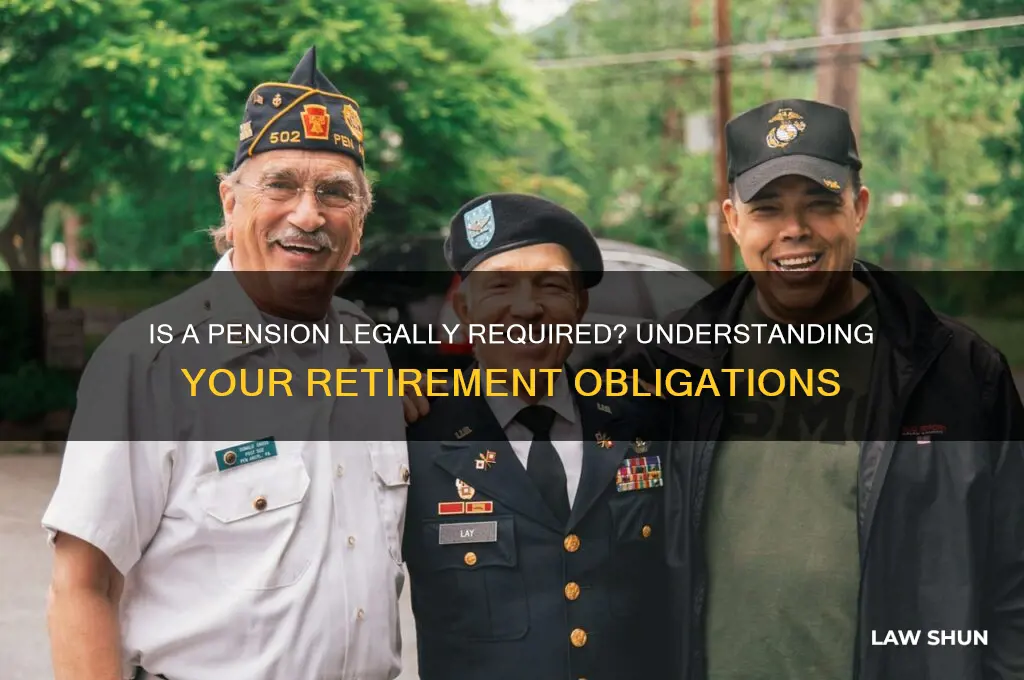 do you need a pension by law