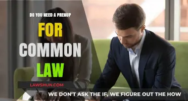 Prenups for Common-Law Partners: Necessary or Not?