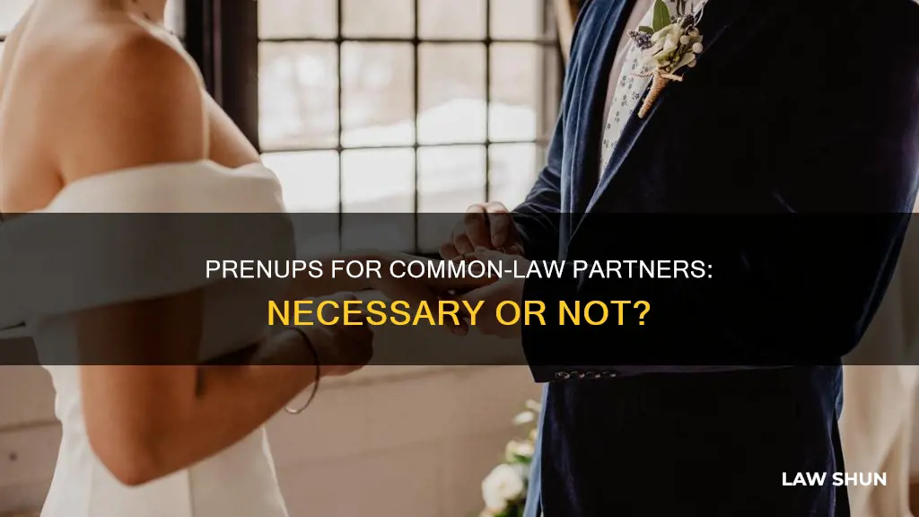 do you need a prenup for common law