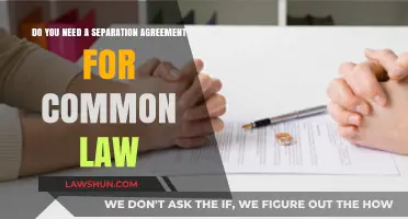 Separation Agreements: Common-Law Couples' Legal Protection
