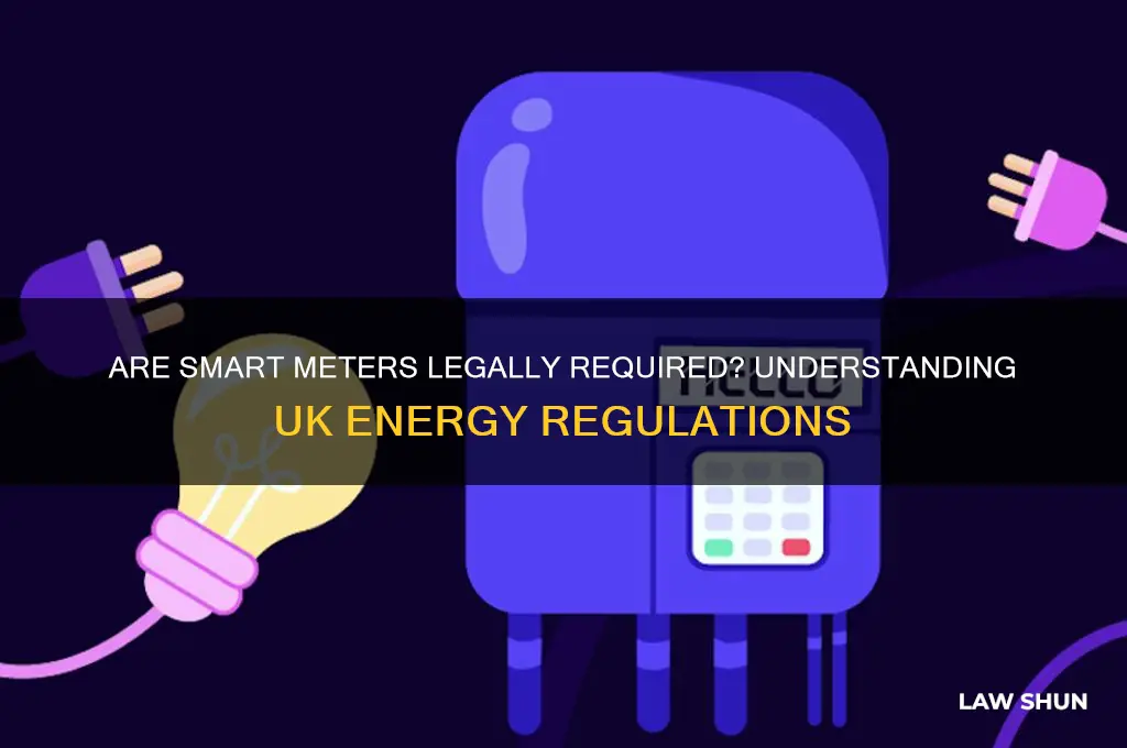 do you need a smart meter by law