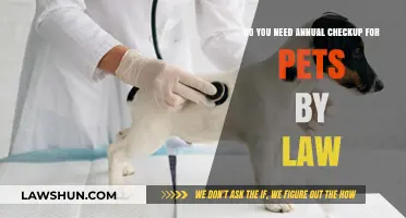 Are Annual Pet Checkups Legally Required? What Owners Need to Know