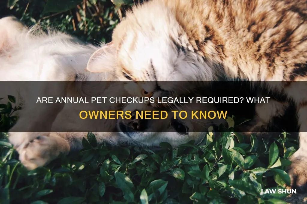 do you need annual checkup for pets by law