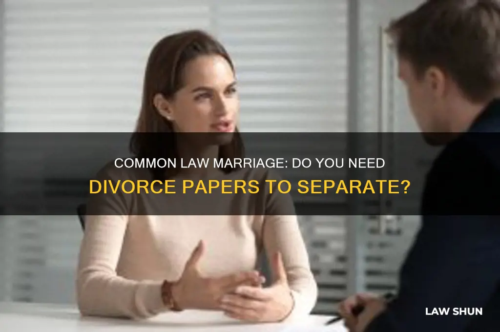 do you need divorce papers for a coman law marrage