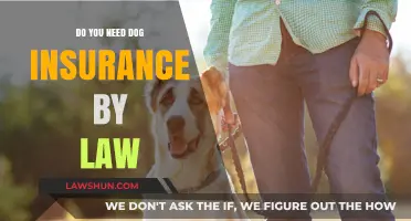 Is Dog Insurance Legally Required? Understanding Pet Ownership Laws