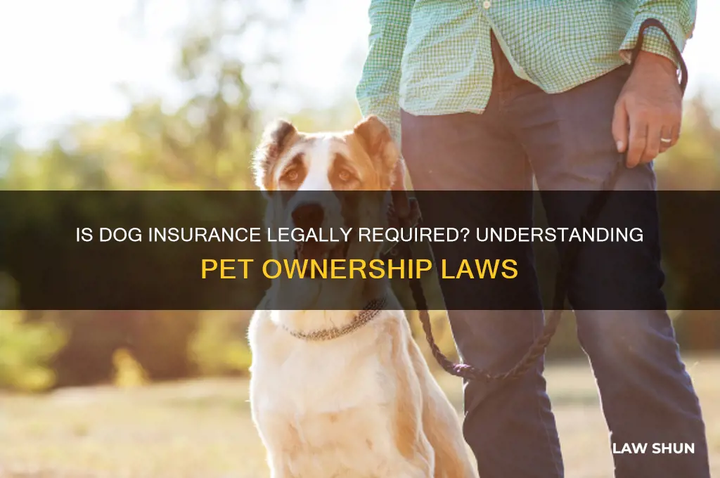 do you need dog insurance by law
