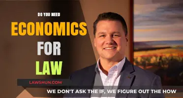 Economics and Law: Essential Connection or Optional Knowledge?